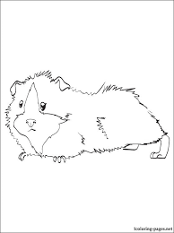 Ausmalbilder, malvorlagen und mandalas kostenlos downloaden … hier finden sie eine riesige auswahl an kostenlosen ausmalbilder, kostenlosen malvorlagen welche wir ihnen gratis zum. Meerschweinchen Malvorlagen Malvorlagen Fur Kinder Ausmalbilder Meerschweinchen Kostenlos Herunterladen
