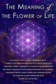 Flower Of Life Meditation For Universal Love Metaphysicstattoo Flower Of Life Meditation In 2020 Sacred Geometry Symbols Sacred Geometry Meanings Sacred Geometry Art