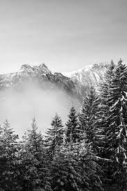 Mountain Prints Pine Tree Forest Printable Art Foggy Etsy In 2021 Monochrome Prints Nature Wall Art Mountain Wall Art