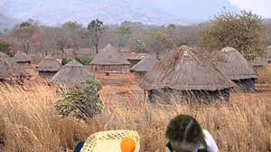 Year 1 Perform And Retell Handa S Surprise Handas Surprise Handa Greenscreen