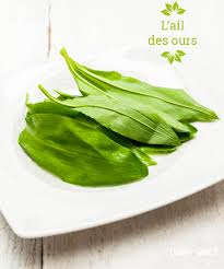 Ail Des Ours Ou Ail Sauvage Blog Cuisine Saine Sans Gluten Sans Lactose
