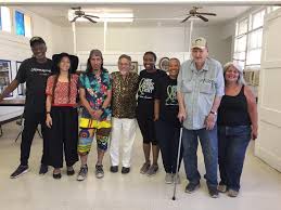 Image result for Afrosolen setifolius