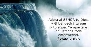 Conoce todos los versículos de la biblia en que dios muestra su amor, gracia y poder a través de cristo para poder sanar y restaurar las heridas de todo enfermo: 12 Versiculos De La Biblia Sobre La Salud Dailyverses Net