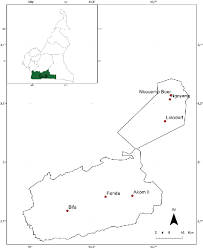 Image result for Scorodophloeus