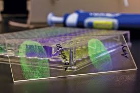 images?q=tbn:ANd9GcTRa4jEs6puE58d42qUdK3