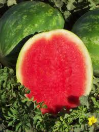 24 Sweet Watermelon Varieties Slideshow Growing Produce