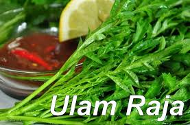 Namun tahukah anda, ternyata bukan hanya buahnya saja yang kaya akan vitamin, daunnya pun memiliki. Bakal Pengantin 6 Bulan Amal Ulam Sebelum Majlis Lihat Sendiri Perbezaan Kesihatan Anda Pesona Pengantin