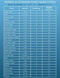 How Much Protein Is Too Much Protein Chart Plant Based Protein Plant Based