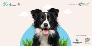 Free Dog Training Session in Maroochy River
