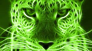 See more ideas about green, green wallpaper, wallpaper. 110 Cool Green