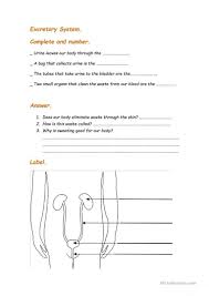 Pin On Free Quality Printable Worksheets