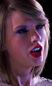 Out of The Woods Eras Tour Outfit