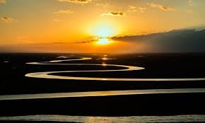 Knowledge Wisdom Understanding And Insight What Are The Differences Inspiring Tips