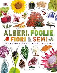 Gli alberi da fiore vengono coltivati per scopi ornamentali in quanto creano macchie di colore nei giardini, oltre che fornire zone d'ombra. 9788858026793 Alberi Foglie Fiori Semi Lo Straordinario Regno Vegetale Ediz Illustrata Abebooks 8858026799