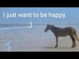 I just want to be happy horse. Meme That Just Want To Be Happy Youtube