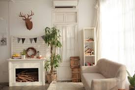 Image result for ficus benjamina en casa