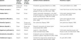 Plant cells come in wide variety of shapes and sizes, and not all contain every feature of described below. Comparison Of The Types Of Calcium Oxalate Crystals And Content Of The Download Table