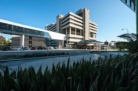 Healthywa, western australian department of health. Department Of Health Wa App Streamlines Patient Data Collection And Care Microsoft Australia News Centre