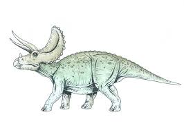 Triceratops Prehistoric Animals Dinosaur Art Animal Drawings