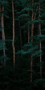 See more ideas about forest wallpaper, forest wallpaper iphone, nature wallpaper. Aesthetic Vintage Iphone Wallpaper Hd Aesthetic Dark Color Palette Novocom Top
