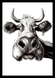 Caricatures Animaux Karen Trawick Kuh Kunst Kuhe Malen Kuh Zeichnung