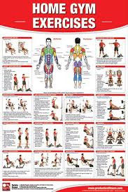 Home Gym Exercises Wall Chart Universal Equipment