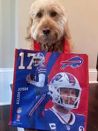 🌷HELLO APRIL🐥 🌱 #dogsofbuffalo #helloapril #april #spring #dogsinspring  #aprilshowers