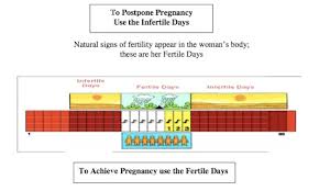 Lifeissues Net The Practice Of Natural Family Planning