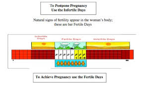 lifeissues net the practice of natural family planning