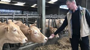 We did not find results for: Un Dimanche A La Ferme Pour Mieux Comprendre Le Monde Agricole