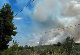 Η φωτιά έχει πάρει μεγάλες διαστάσεις λόγω των ισχυρών ανέμων και στην περιοχή μεταβαίνουν ισχυρές πυροσβεστικές δυνάμεις από την αταλάντη, τη λαμία την 'αμφισσα, τη βοιωτία. Fwtia Sto 8eologo Dyo Ta Metwpa Mesa Sto Dasos Enisxyontai Oi Dynameis Ths Pyrosbestikhs Binteo Ellada Iefimerida Gr