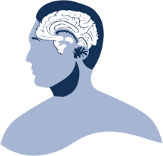 Maybe you would like to learn more about one of these? Apa Itu Kesehatan Mental Seribu Tujuan