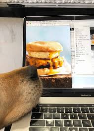 Maybe you would like to learn more about one of these? Homemade Sausage And Egg Mcmuffin Recipe Homemade Sausage Sausage And Egg Mcmuffin Egg Mcmuffin