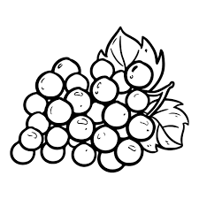 Purple is the most retiring of all rich colors. Grapes Coloring Pages Best Coloring Pages For Kids