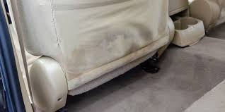Got mold in your car? How To Eradicate Mold In Your Car S Interior Grandprixtimes