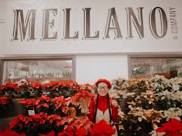 Mellano & company is a family owned and operated floral business. Festive Finds Mellano Company At The Original La Flower Market Inara By May Pham