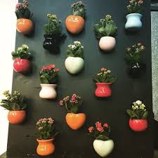 Flora Miyake On Instagram Mini Calandiva Kalanchoe Dobrado Em Cachepot Ceramico Com Ima Plantas Vaso Plant Decor Painted Pots Diy Indoor Flowering Plants