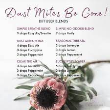 Dust Mites Essential Oil Diffuser Recipes Essential Oil Diffuser Blends Oils