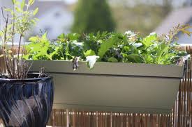 Auf dem balkon mein eigenes gemüse ziehen mit substral | meine erste eigene ernte auf dem balkon züchten. Meine Ernte Auch Gemusearten Die Im Ersten Moment Uberraschend Erscheinen Mogen Konnen Gut Auf Dem Balkon Gezogen Werden