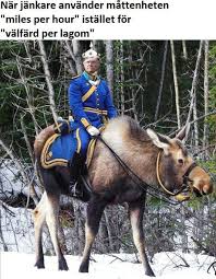 Now i know a lot of people want to meme about it but it seems like kungen hasn't been active on any social media or twitch since late 2018. Valfard Per Lagom 9gag