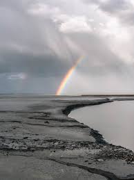 Sie können viele muster oder transparente hintergründe auf verschiedenen websites gesehen haben. 2 000 Besten Regenbogen Fotos 100 Kostenloser Download Pexels Stock Fotos