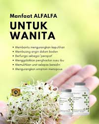 Ibu menyusui, susu kolostrum, susu kolostrum sapi, susu kambing etawa wa : Sebulan Bersalin Susu Ibu Sikit Lepas Makan Set Shaklee Ni Susu Meriah Banyak Cara Hidup Sihat