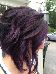 Short Black And Dark Purple Hair Dark Violet Hair Color Short Purple Hair Hair Highlights Hair Styles