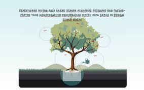 Hutan ini terdiri daripada pelbagai spesies pokok bakau seperi bakau kurap, bakau minyak, pelbagai jenis tumu, nyireh dan sebagainya. Kepentingan Hutan Paya Bakau Kepada Penduduk Setempat Dan Fa By Nabila Ain