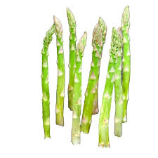 Image result for Asparagus petersianus
