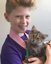 There's no 'I' in team: