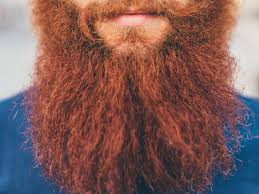 We asked the public what i think it's a way for men to vary their look, similar to when people who grow their hair then have a. Do Beards Carry Germs And How To Sanitize Your Beard