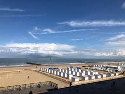 The beach is the ideal destination for many dogs to enjoy. Knokke Heist Belgien Tourismus In Knokke Heist Tripadvisor