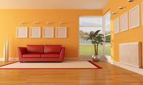 Nerolac Paints Colour Combinations For Living Room