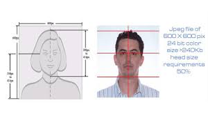 A uk passport photo must have external dimensions of 35mm x 45mm (width x height). How To Make Usa Visa Photo In Photoshop Photoshop Tutorial Youtube